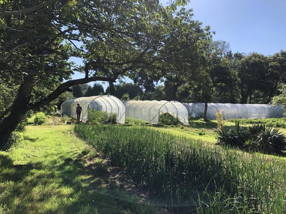 La Terre Ferme - Au Coeur D'Une Ferme Maraichere Saint-Lunaire Exteriör bild